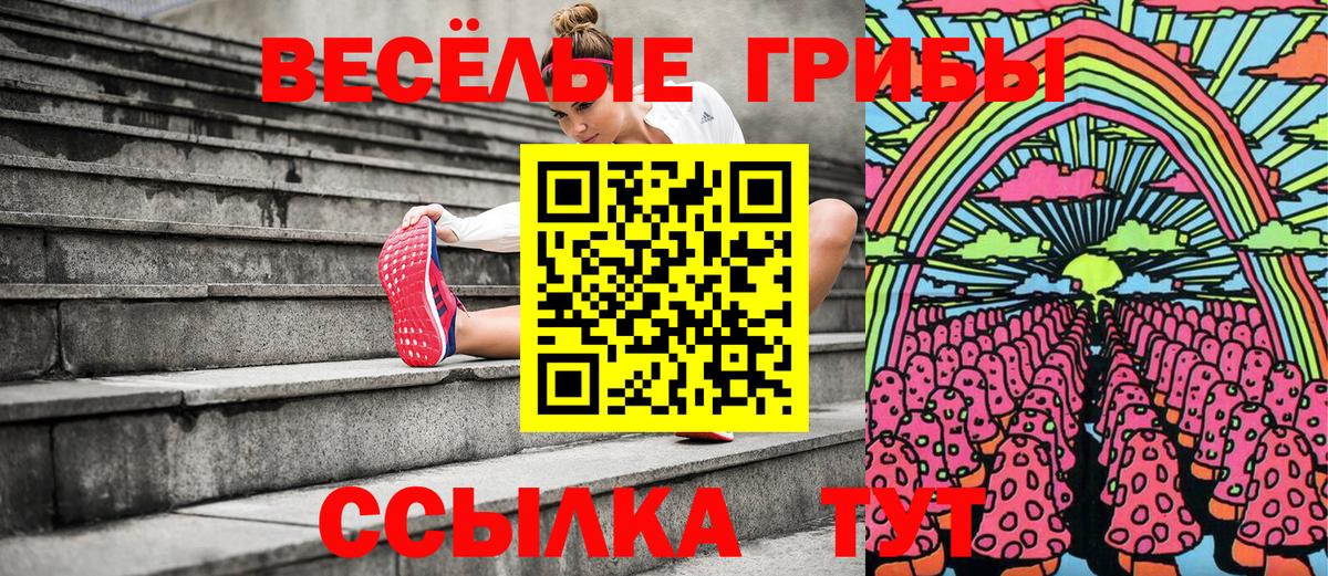 продажа наркотиков  Псилоцибиновые грибы прущие грибы  Вход с VPN  Псилоцибиновые грибы Cubensis  Туапсе 