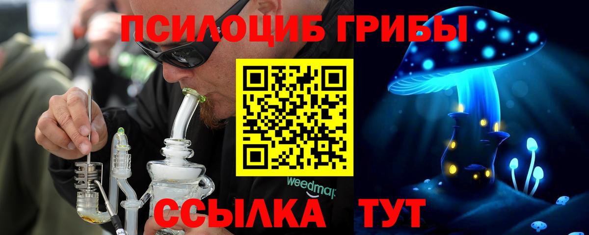Галлюциногенные грибы Psilocybe Туапсе
